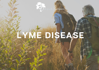 Lyme Disease Doctors In Nh Pregnancy Informations